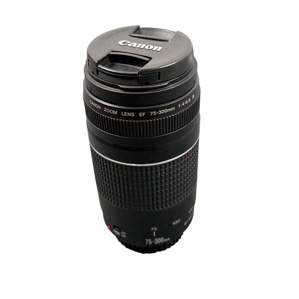 Canon EF 75-300mm f/4-5.6 III and EF-S 18-55mm IS Zoom Lens black